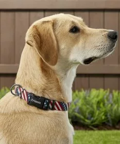 Frisco American Flag Dog Leash & Frisco American Flag Dog Collar -Dog Cat Corner 255453 PT4. SY630 V1602706576