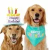 Frisco Birthday Cake Dog & Cat Hat & Frisco Dog & Cat Birthday Bandana -Dog Cat Corner 255463 MAIN. SY630 V1603716113