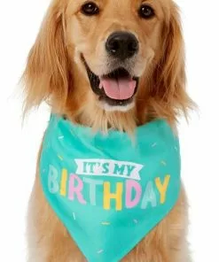Frisco Birthday Cake Dog & Cat Hat & Frisco Dog & Cat Birthday Bandana -Dog Cat Corner 255463 PT3. SY630 V1603716088