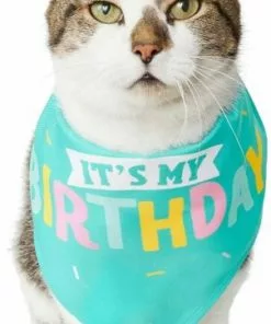 Frisco Birthday Cake Dog & Cat Hat & Frisco Dog & Cat Birthday Bandana -Dog Cat Corner 255463 PT4. SY630 V1603716094