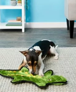 Frisco Flat Plush Squeaking Alligator Dog Toy, Medium & Frisco Flat Plush Squeaking Raccoon Dog Toy, Medium -Dog Cat Corner 255471 PT2. SY630 V1602691584