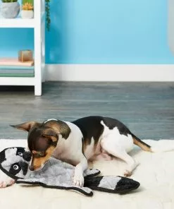 Frisco Flat Plush Squeaking Alligator Dog Toy, Medium & Frisco Flat Plush Squeaking Raccoon Dog Toy, Medium -Dog Cat Corner 255471 PT4. SY630 V1602691287