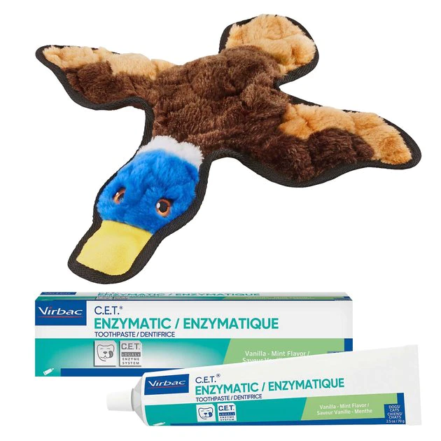 Frisco||Virbac Frisco Flat Plush Squeaking Duck Dog Toy & Virbac C.E.T. Enzymatic Dog & Cat Vanilla-Mint Flavor Toothpaste 3 Frisco||Virbac Frisco Flat Plush Squeaking Duck Dog Toy & Virbac C.E.T. Enzymatic Dog & Cat Vanilla-Mint Flavor Toothpaste