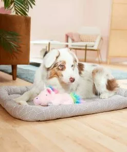 Frisco Fold & Carry Double Door Collapsible Wire Dog Crate, 36 inch & Frisco Gray Basket Weave Dog Crate Mat, 36-in 11 Frisco Fold & Carry Double Door Collapsible Wire Dog Crate, 36 inch & Frisco Gray Basket Weave Dog Crate Mat, 36-in -Dog Cat Corner 255481 PT4. SY630 V1604078441