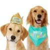 Frisco Happy Birthday Dog & Cat Crown & Frisco Dog & Cat Birthday Bandana, One Size -Dog Cat Corner 255521 MAIN. SY630 V1603716088