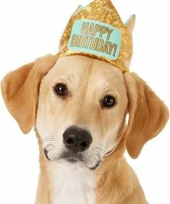 Frisco Happy Birthday Dog & Cat Crown & Frisco Dog & Cat Birthday Bandana, One Size -Dog Cat Corner 255521 PT1. SY630 V1603716101