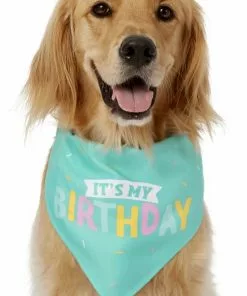 Frisco Happy Birthday Dog & Cat Crown & Frisco Dog & Cat Birthday Bandana, One Size -Dog Cat Corner 255521 PT3. SY630 V1603716116