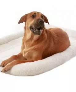 Frisco Heavy Duty Fold & Carry Single Door Collapsible Wire Dog Crate & Frisco Quilted Dog Crate Mat, Ivory -Dog Cat Corner 255555 PT4. SY630 V1603545106