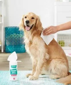 Frisco||PetHonesty Frisco Hypoallergenic Grooming Wipes with Organic Aloe for Dogs & Cats, Unscented & PetHonesty Allergy Relief Snacks Immunity Strength & Digestive Health Soft Chews Dog Supplement -Dog Cat Corner 255569 PT2. SY630 V1603545391