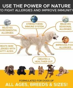 Frisco||PetHonesty Frisco Hypoallergenic Grooming Wipes with Organic Aloe for Dogs & Cats, Unscented & PetHonesty Allergy Relief Snacks Immunity Strength & Digestive Health Soft Chews Dog Supplement -Dog Cat Corner 255569 PT4. SY630 V1603545416