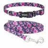 Frisco Midnight Floral Dog Leash & Frisco Midnight Floral Dog Collar