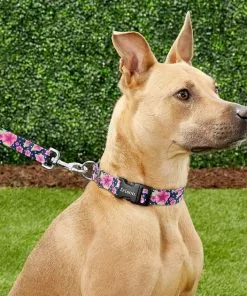 Frisco Midnight Floral Dog Leash & Frisco Midnight Floral Dog Collar -Dog Cat Corner 255571 PT2. SY630 V1603545417