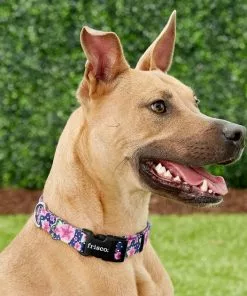 Frisco Midnight Floral Dog Leash & Frisco Midnight Floral Dog Collar -Dog Cat Corner 255571 PT4. SY630 V1603545402