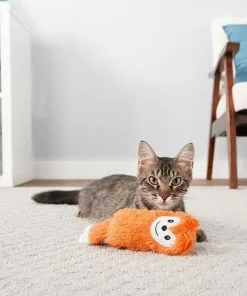 Frisco Swattin' Springs Cat Toy, 4-Pack & Frisco Plush Kicker Cat Toy, Orange Fox 9 Frisco Swattin' Springs Cat Toy, 4-Pack & Frisco Plush Kicker Cat Toy, Orange Fox -Dog Cat Corner 255629 PT3. SY630 V1602702073