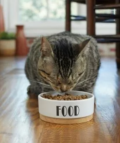 Frisco Ceramic Food Dog & Cat Bowl with Wood Base -Dog Cat Corner 256042 PT2. SY630 V1615311693