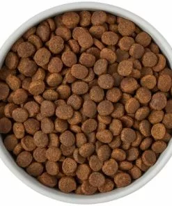 Frisco Ceramic Food Dog & Cat Bowl with Wood Base -Dog Cat Corner 256042 PT6. SY630 V1615317399