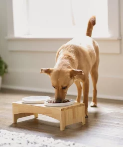 Frisco Ceramic Dog & Cat Double Diner with Elevated Wood Stand, 1.87 Cups 10 Frisco Ceramic Dog & Cat Double Diner with Elevated Wood Stand, 1.87 Cups -Dog Cat Corner 256052 PT2. SY630 V1615311142
