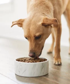 Frisco Marble Design Non-skid Ceramic Dog & Cat Bowl 11 Frisco Marble Design Non-skid Ceramic Dog & Cat Bowl -Dog Cat Corner 256056 PT2. SY630 V1615313589