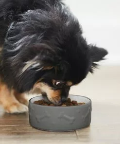 Frisco Bones Non-skid Ceramic Dog & Cat Bowl, Gray 11 Frisco Bones Non-skid Ceramic Dog & Cat Bowl, Gray -Dog Cat Corner 256063 PT2. SY630 V1626186231