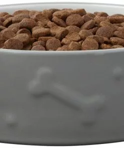 Frisco Bones Non-skid Ceramic Dog & Cat Bowl, Gray 12 Frisco Bones Non-skid Ceramic Dog & Cat Bowl, Gray -Dog Cat Corner 256063 PT3. SY630 V1616508727