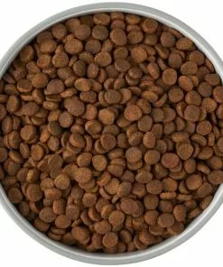 Frisco Bones Non-skid Ceramic Dog & Cat Bowl, Gray 14 Frisco Bones Non-skid Ceramic Dog & Cat Bowl, Gray -Dog Cat Corner 256063 PT5. SY630 V1616508997