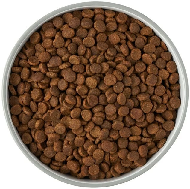 Frisco Bones Non-skid Ceramic Dog & Cat Bowl, Gray 8 Frisco Bones Non-skid Ceramic Dog & Cat Bowl, Gray - Image 6