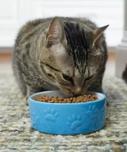 Frisco Paw Prints Non-skid Ceramic Dog & Cat Bowl, Blue -Dog Cat Corner 256067 PT2. SY630 V1616166987