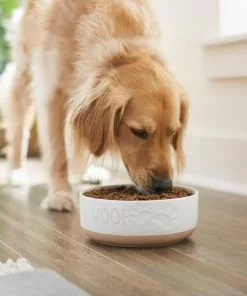 Frisco Paw Prints Non-skid Ceramic Bowl, 7.75 Cups 10 Frisco Paw Prints Non-skid Ceramic Bowl, 7.75 Cups -Dog Cat Corner 256072 PT2. SY630 V1615311738