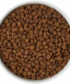 Frisco Paw Prints Non-skid Ceramic Bowl, 7.75 Cups 13 Frisco Paw Prints Non-skid Ceramic Bowl, 7.75 Cups -Dog Cat Corner 256072 PT5. SY630 V1615312318