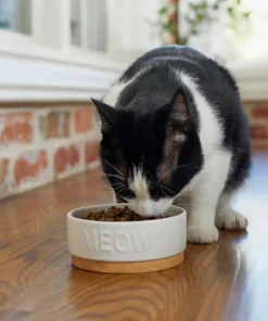 Frisco Round Meow Non-skid Ceramic Cat Bowl with Wood Base, 1.25 cups 10 Frisco Round Meow Non-skid Ceramic Cat Bowl with Wood Base, 1.25 cups -Dog Cat Corner 256078 PT2. SY630 V1615313612