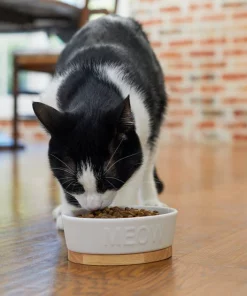 Frisco Oval Meow Non-skid Ceramic Cat Bowl with Wood Base, 1 Cup 10 Frisco Oval Meow Non-skid Ceramic Cat Bowl with Wood Base, 1 Cup -Dog Cat Corner 256080 PT2. SY630 V1615310782