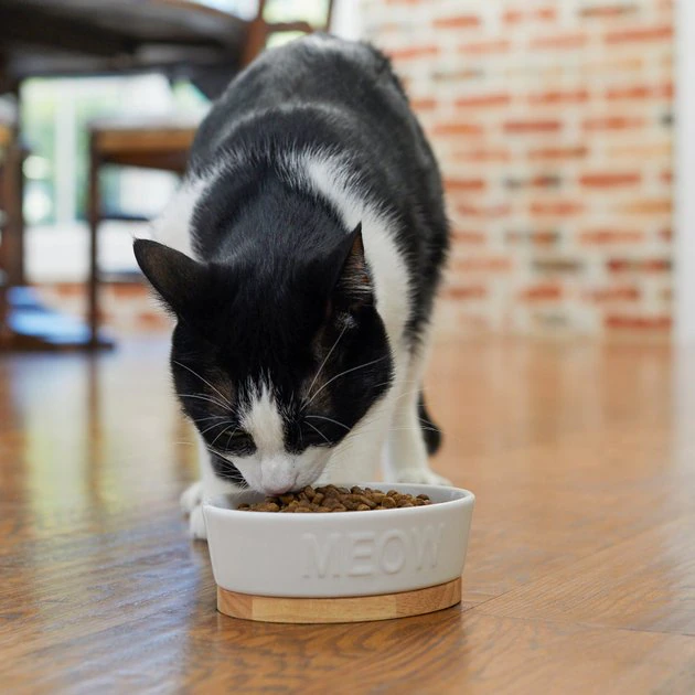 Frisco Oval Meow Non-skid Ceramic Cat Bowl with Wood Base, 1 Cup 5 Frisco Oval Meow Non-skid Ceramic Cat Bowl with Wood Base, 1 Cup - Image 3