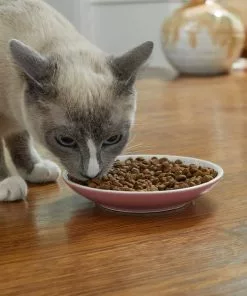 Frisco Kaleidoscope Pattern Non-skid Ceramic Cat Dish, Pink, 0.62 Cup 11 Frisco Kaleidoscope Pattern Non-skid Ceramic Cat Dish, Pink, 0.62 Cup -Dog Cat Corner 256084 PT3. SY630 V1618494728