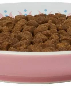 Frisco Kaleidoscope Pattern Non-skid Ceramic Cat Dish, Pink, 0.62 Cup 12 Frisco Kaleidoscope Pattern Non-skid Ceramic Cat Dish, Pink, 0.62 Cup -Dog Cat Corner 256084 PT4. SY630 V1618494759