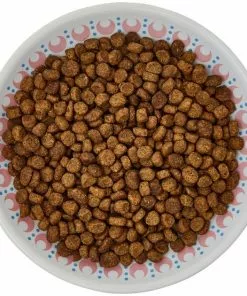 Frisco Kaleidoscope Pattern Non-skid Ceramic Cat Dish, Pink, 0.62 Cup 13 Frisco Kaleidoscope Pattern Non-skid Ceramic Cat Dish, Pink, 0.62 Cup -Dog Cat Corner 256084 PT5. SY630 V1617042695