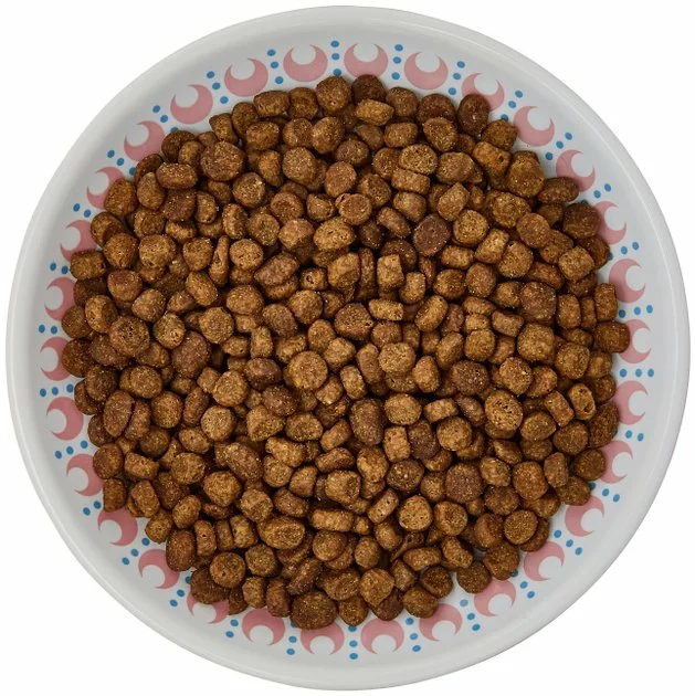 Frisco Kaleidoscope Pattern Non-skid Ceramic Cat Dish, Pink, 0.62 Cup 8 Frisco Kaleidoscope Pattern Non-skid Ceramic Cat Dish, Pink, 0.62 Cup - Image 6