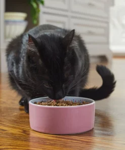 Frisco Kaleidoscope Pattern Non-skid Ceramic Cat Dish, Pink, 1.62 Cup -Dog Cat Corner 256086 PT2. SY630 V1615313605