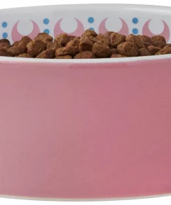 Frisco Kaleidoscope Pattern Non-skid Ceramic Cat Dish, Pink, 1.62 Cup -Dog Cat Corner 256086 PT3. SY630 V1615311761