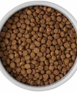 Frisco Kaleidoscope Pattern Non-skid Ceramic Cat Dish, Pink, 1.62 Cup -Dog Cat Corner 256086 PT5. SY630 V1615310802