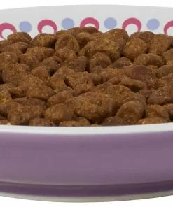 Frisco Kaleidoscope Pattern Non-skid Ceramic Cat Dish, Purple, 0.62 Cup 11 Frisco Kaleidoscope Pattern Non-skid Ceramic Cat Dish, Purple, 0.62 Cup -Dog Cat Corner 256088 PT3. SY630 V1617042712