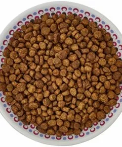 Frisco Kaleidoscope Pattern Non-skid Ceramic Cat Dish, Purple, 0.62 Cup 13 Frisco Kaleidoscope Pattern Non-skid Ceramic Cat Dish, Purple, 0.62 Cup -Dog Cat Corner 256088 PT5. SY630 V1617042699