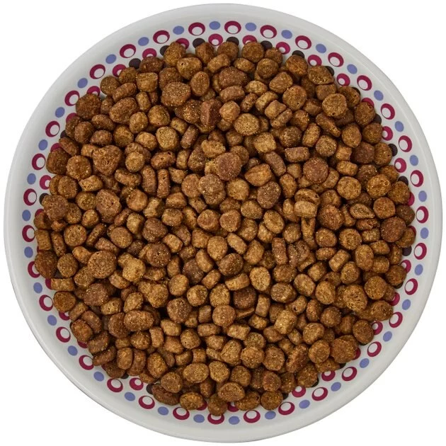 Frisco Kaleidoscope Pattern Non-skid Ceramic Cat Dish, Purple, 0.62 Cup 8 Frisco Kaleidoscope Pattern Non-skid Ceramic Cat Dish, Purple, 0.62 Cup - Image 6