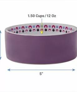 Frisco Kaleidoscope Pattern Non-skid Ceramic Cat Dish, Purple, 1.62 Cup -Dog Cat Corner 256090 PT1. SY630 V1616696935