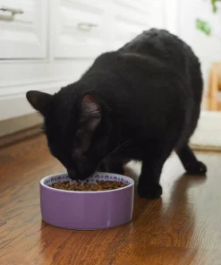 Frisco Kaleidoscope Pattern Non-skid Ceramic Cat Dish, Purple, 1.62 Cup -Dog Cat Corner 256090 PT2. SY630 V1615311092