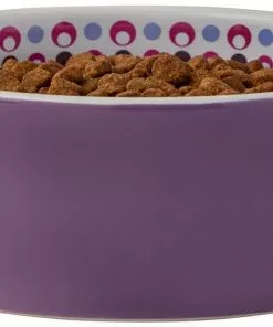 Frisco Kaleidoscope Pattern Non-skid Ceramic Cat Dish, Purple, 1.62 Cup -Dog Cat Corner 256090 PT3. SY630 V1615311698