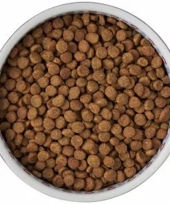 Frisco Kaleidoscope Pattern Non-skid Ceramic Cat Dish, Purple, 1.62 Cup -Dog Cat Corner 256090 PT5. SY630 V1615312887