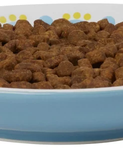 Frisco Kaleidoscope Pattern Non-skid Ceramic Cat Dish, Blue, 0.62 Cup 11 Frisco Kaleidoscope Pattern Non-skid Ceramic Cat Dish, Blue, 0.62 Cup -Dog Cat Corner 256092 PT3. SY630 V1617042717