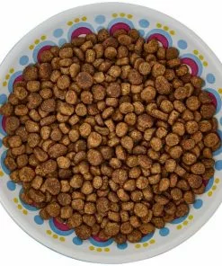 Frisco Kaleidoscope Pattern Non-skid Ceramic Cat Dish, Blue, 0.62 Cup 13 Frisco Kaleidoscope Pattern Non-skid Ceramic Cat Dish, Blue, 0.62 Cup -Dog Cat Corner 256092 PT5. SY630 V1617042691