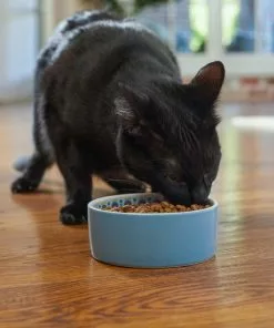 Frisco Kaleidoscope Pattern Non-skid Ceramic Cat Dish, Blue, 1.62 Cups 10 Frisco Kaleidoscope Pattern Non-skid Ceramic Cat Dish, Blue, 1.62 Cups -Dog Cat Corner 256094 PT2. SY630 V1615311130