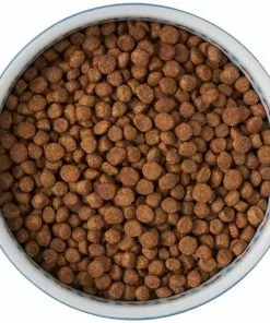 Frisco Kaleidoscope Pattern Non-skid Ceramic Cat Dish, Blue, 1.62 Cups 13 Frisco Kaleidoscope Pattern Non-skid Ceramic Cat Dish, Blue, 1.62 Cups -Dog Cat Corner 256094 PT5. SY630 V1615312042